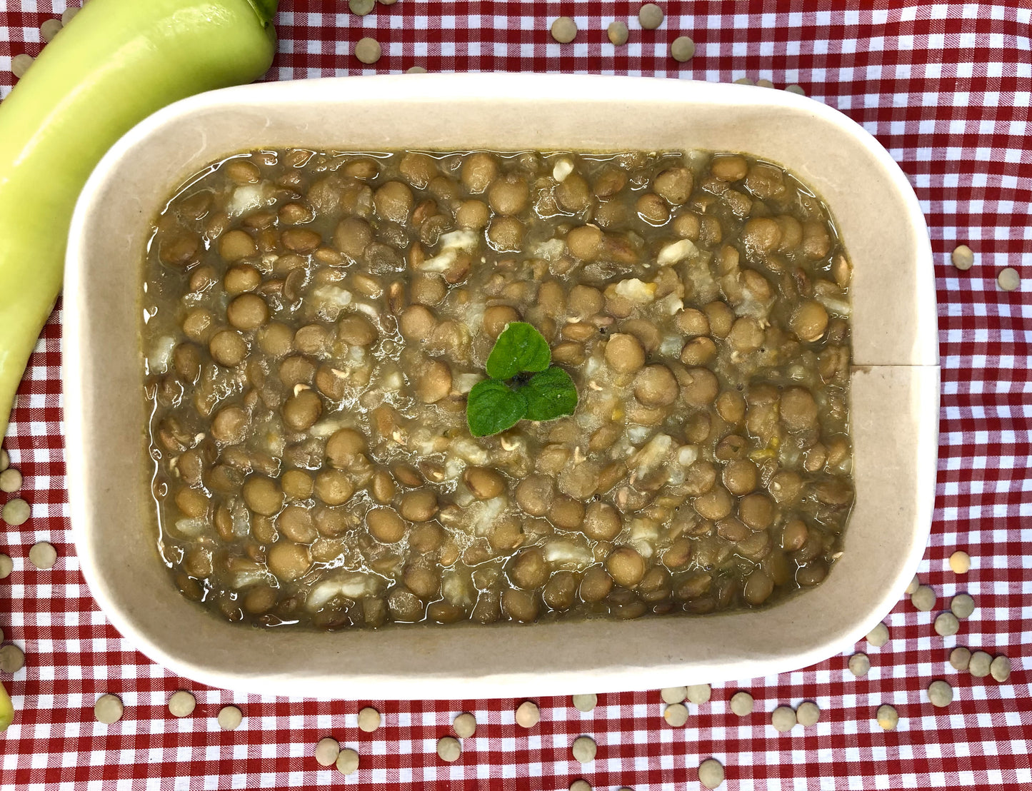 Plan Vegetariano